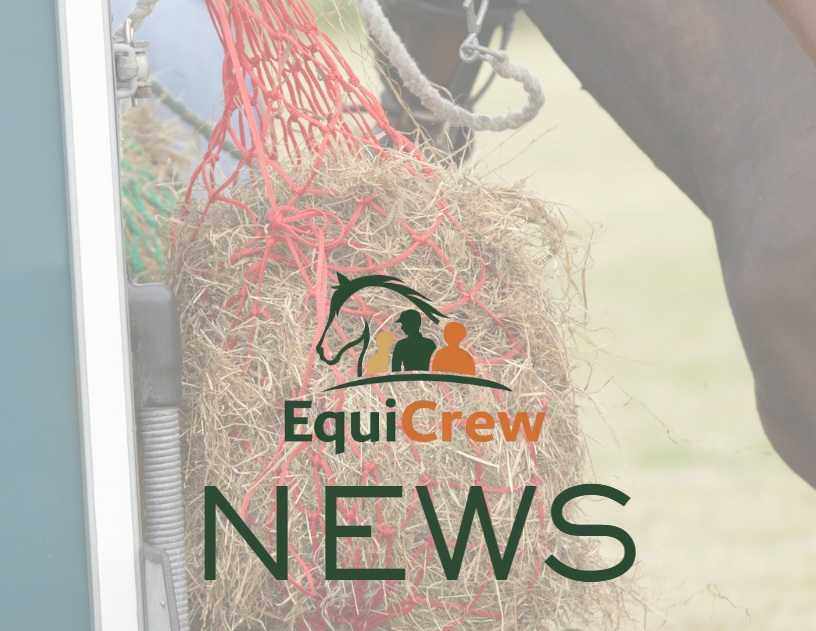 Feeding Horses in Challenging Times: Large Bales vs. Small Bales