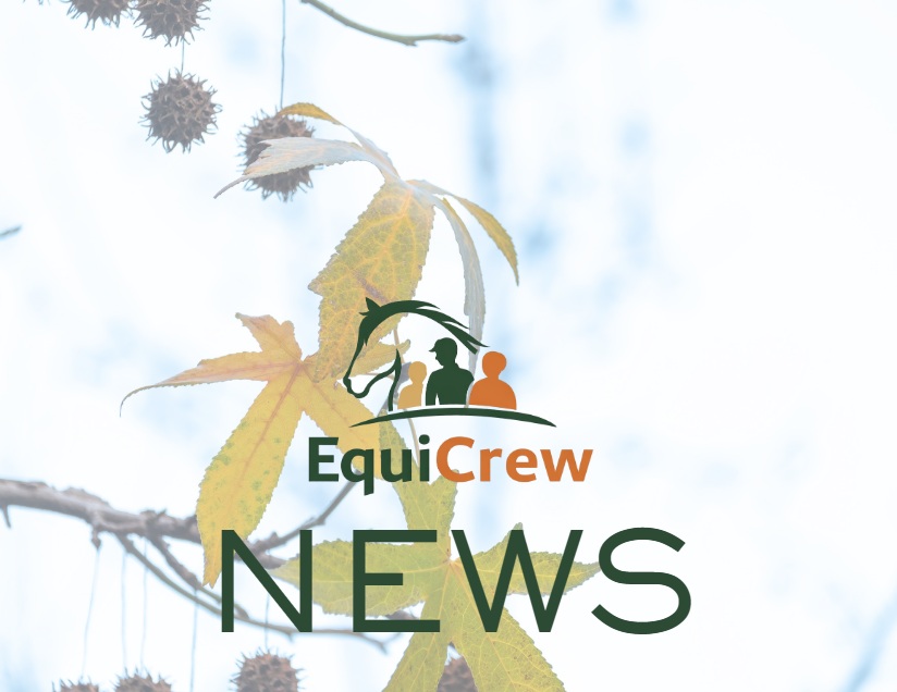 Warning as Early Fall of Sycamore Seeds Poses Risk of ATM in Horses