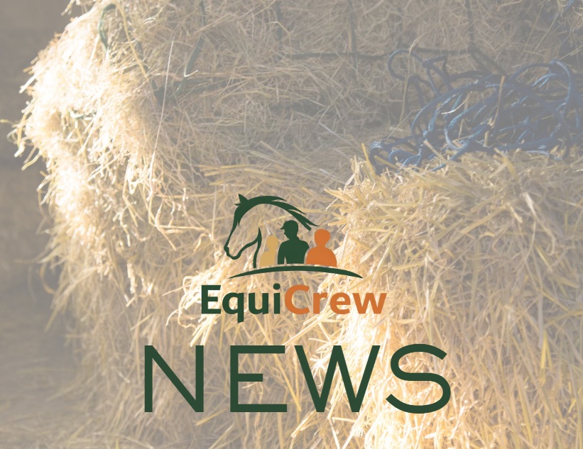 Coping with Hay and Straw Shortages for UK Livery Yard Owners and Horse Owners