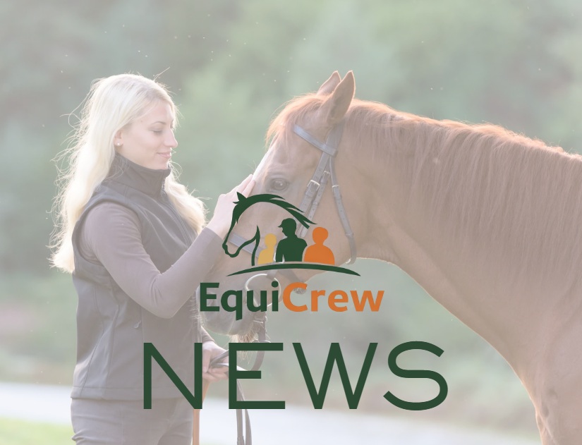 2025 Employment Law Changes: Key Impacts for Yard Owners and Grooms