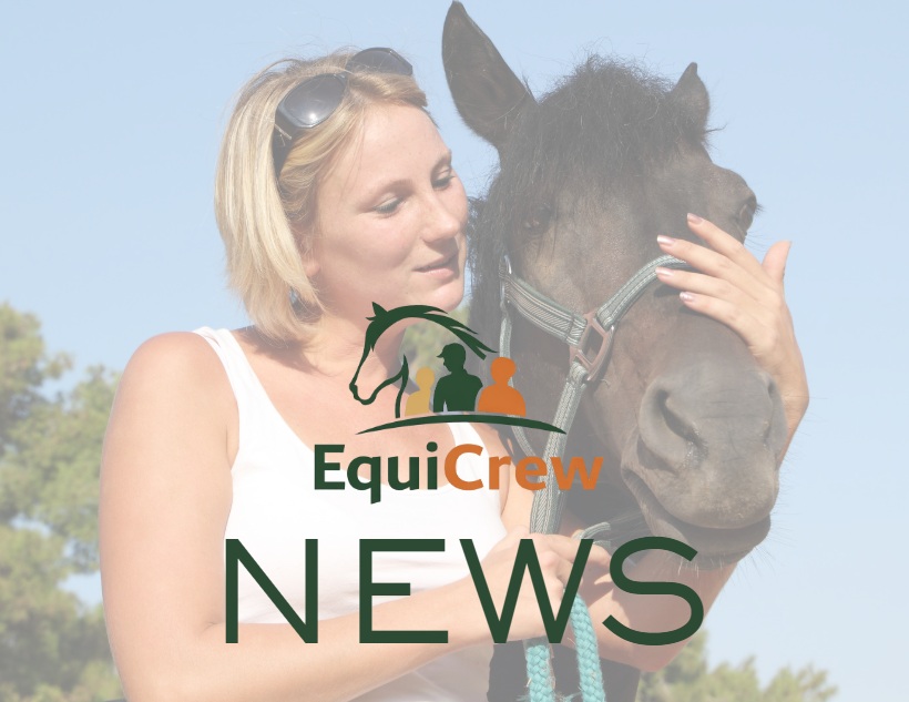New Mental Health Toolkit Launches for the Equestrian Community