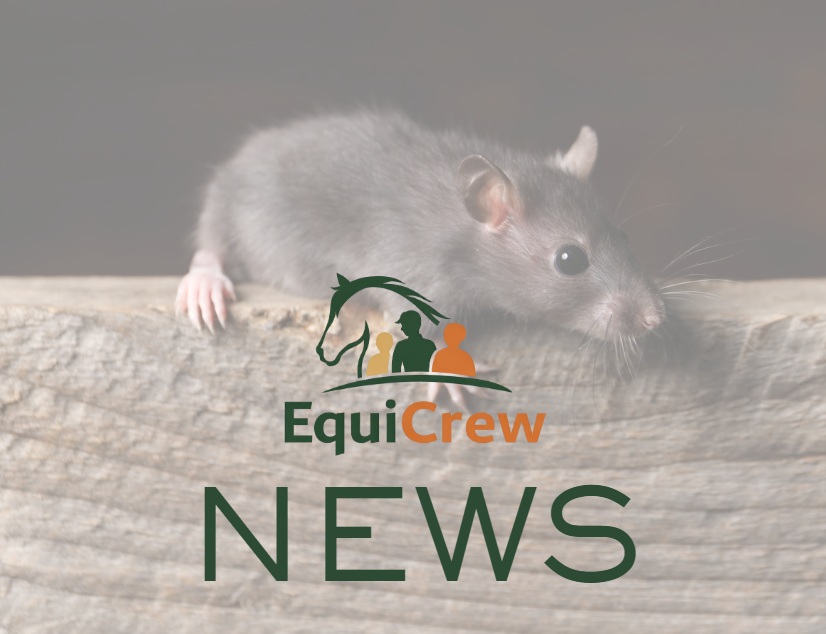 Survey Reveals UK Farms Struggling with Rodent Resistance and Infestations