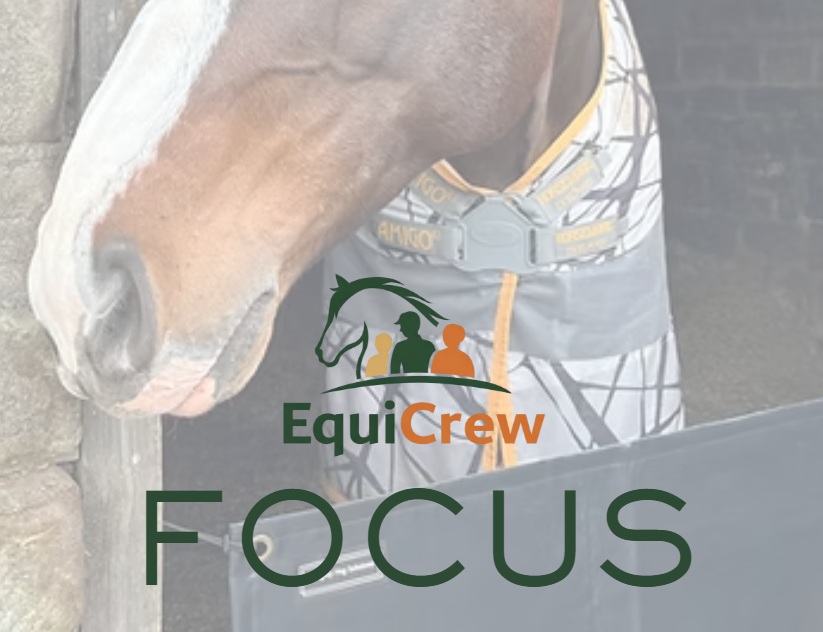 Managing Stable Vices During Winter: How to Keep Horses Calm and Healthy
