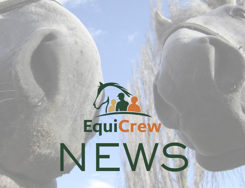 Rise in Equine Influenza Outbreaks Detected Across the UK
