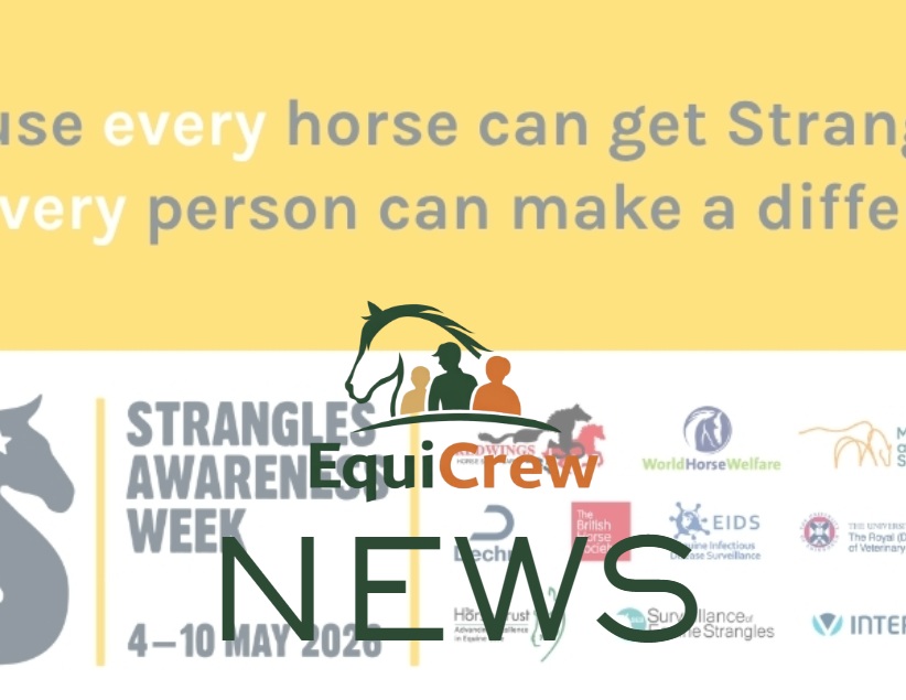 Equine Community Urged to Support SAW as Strangles Cases Already Exceeds 100 Cases in 2026