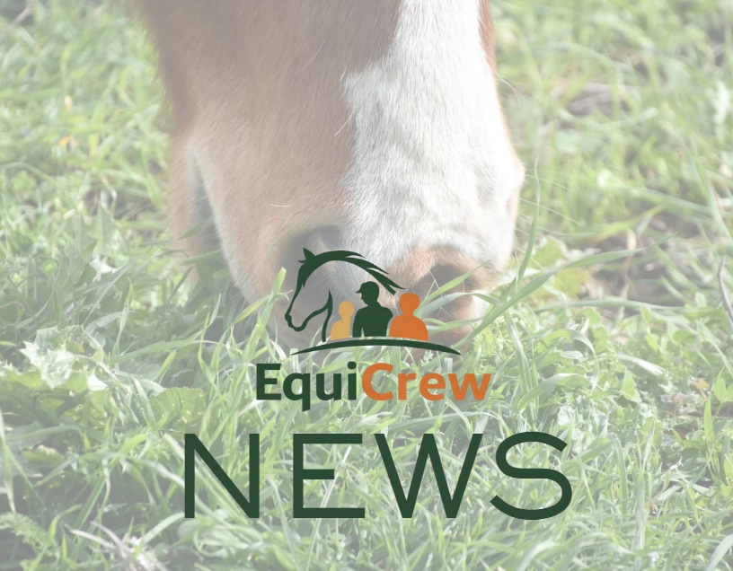 Industry Working Group Launches Sustainability Platform for Equestrian Sector