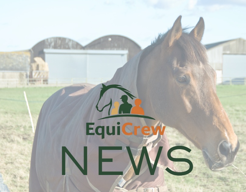 Survey Reveals Factors Influencing Horse Rugging Decisions