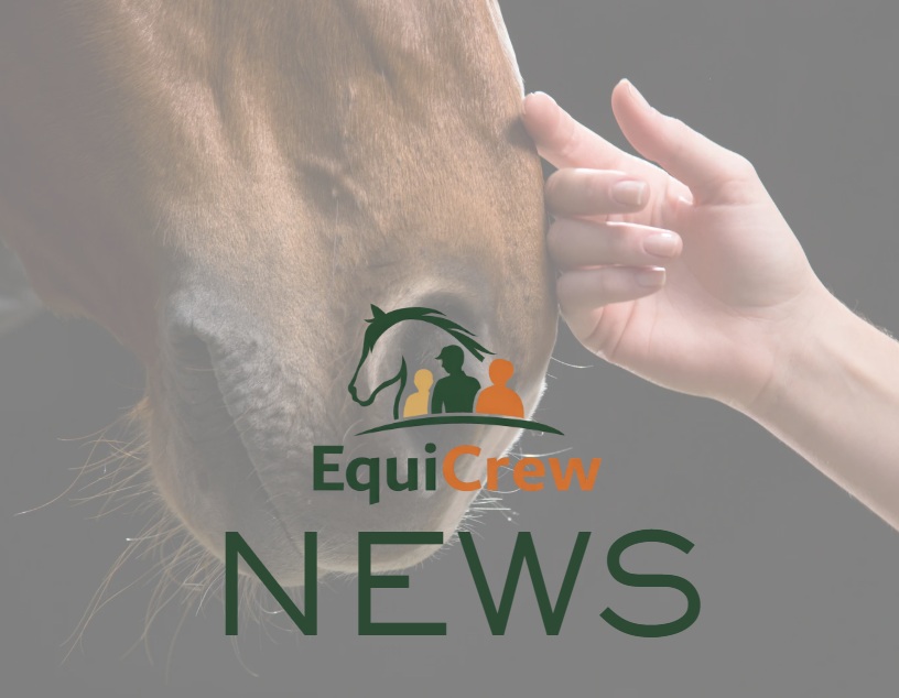 Rising Equine Influenza Cases Prompts Increase in Equine Biosecurity