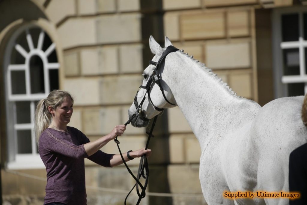 Michelle Williamson Eventing