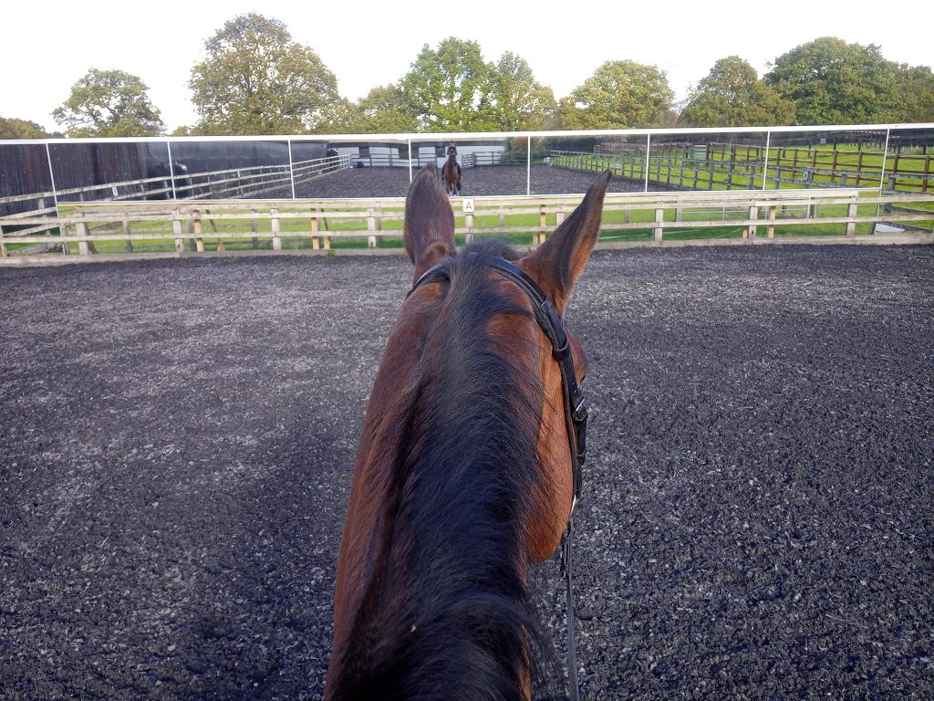 Paula Sherwood- Gemsbrook Dressage