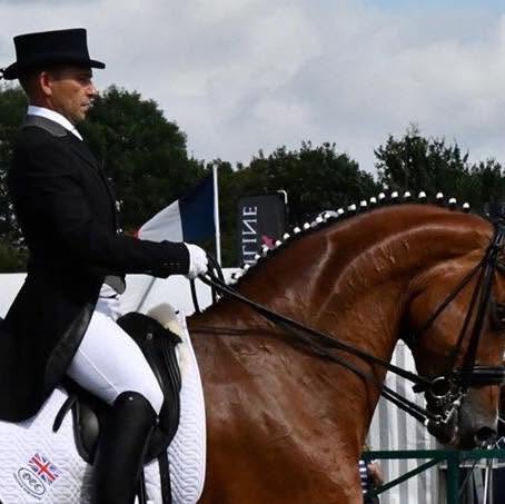 Professional Dressage Rider