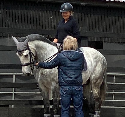 Dressage Training at Tidmarsh Stud