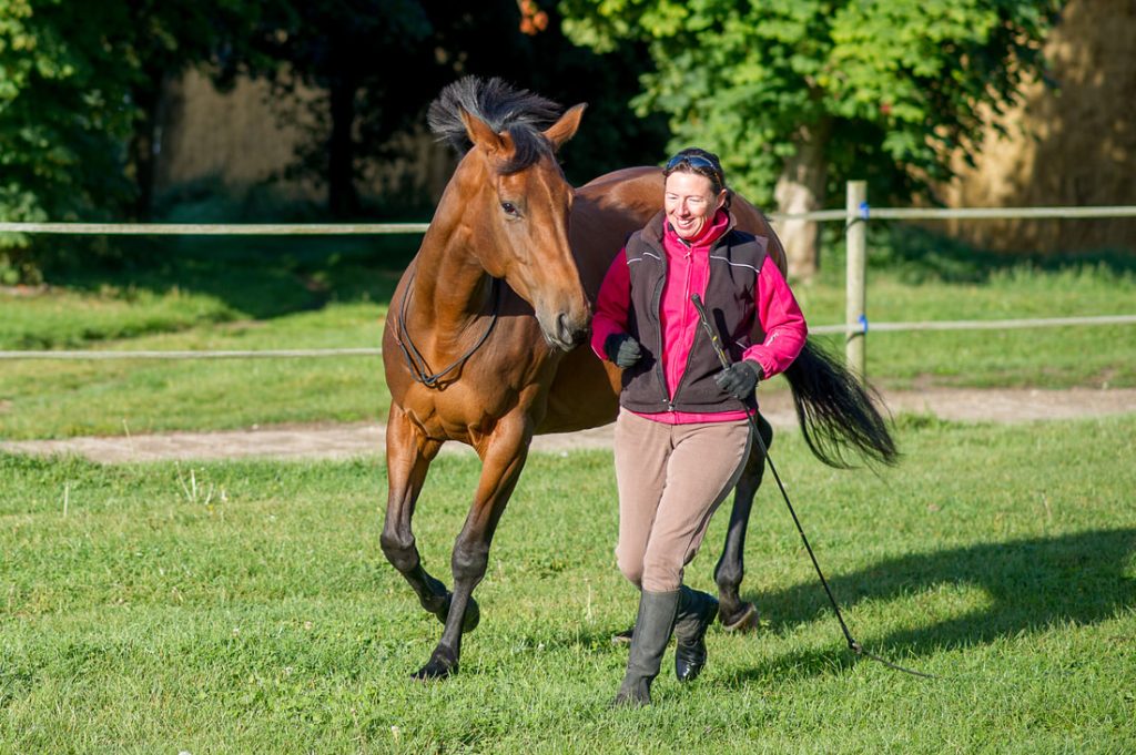 Sarah Wearing: Ridden (incl. Bridleless), Liberty & Natural Horsemanship Coach