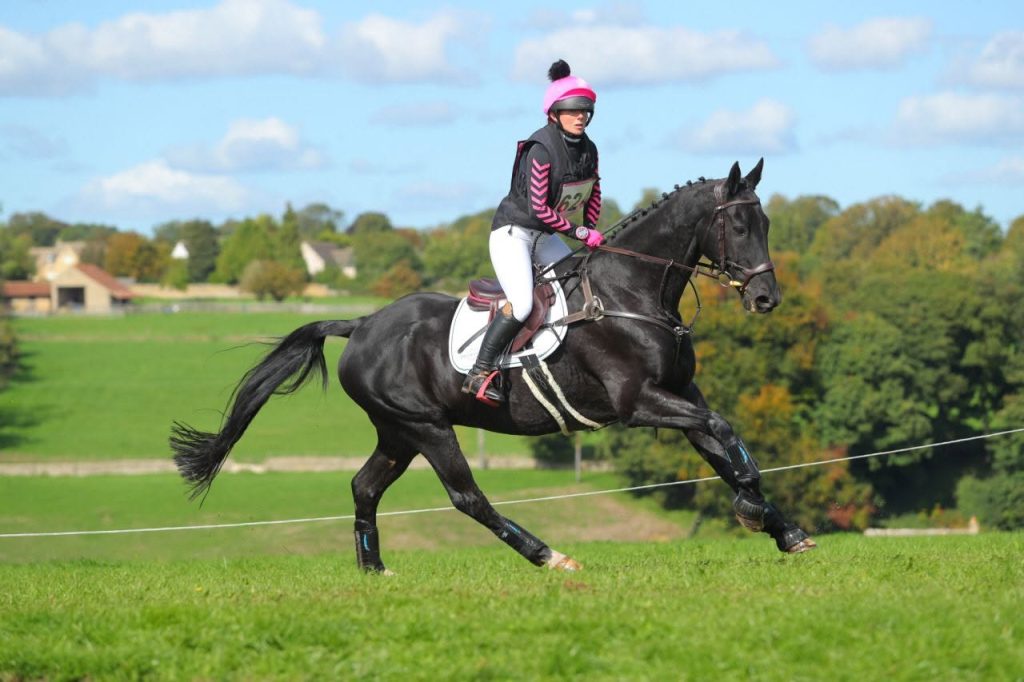 Ashley Harrison Eventing