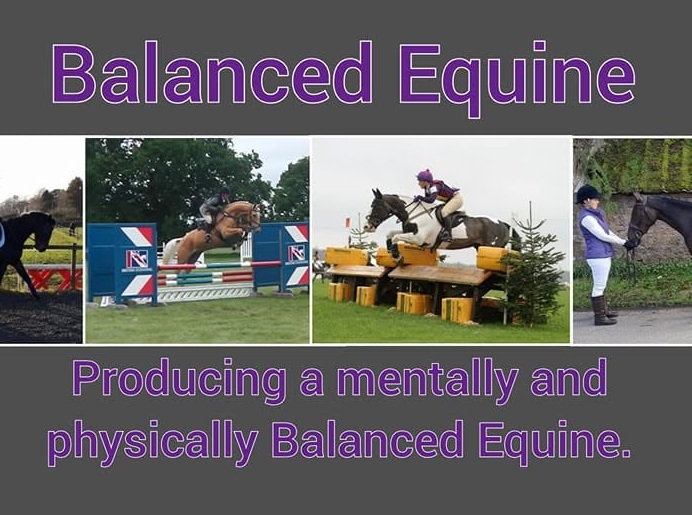 Balanced Equine