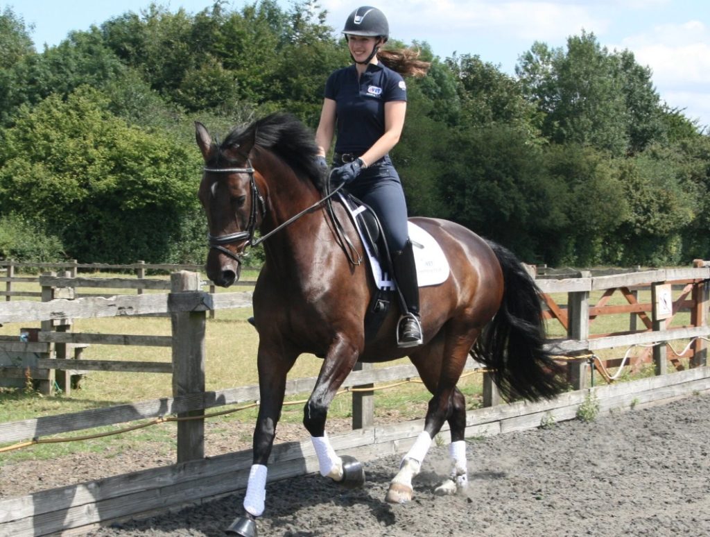 Dressage Training with Daisy Coakley