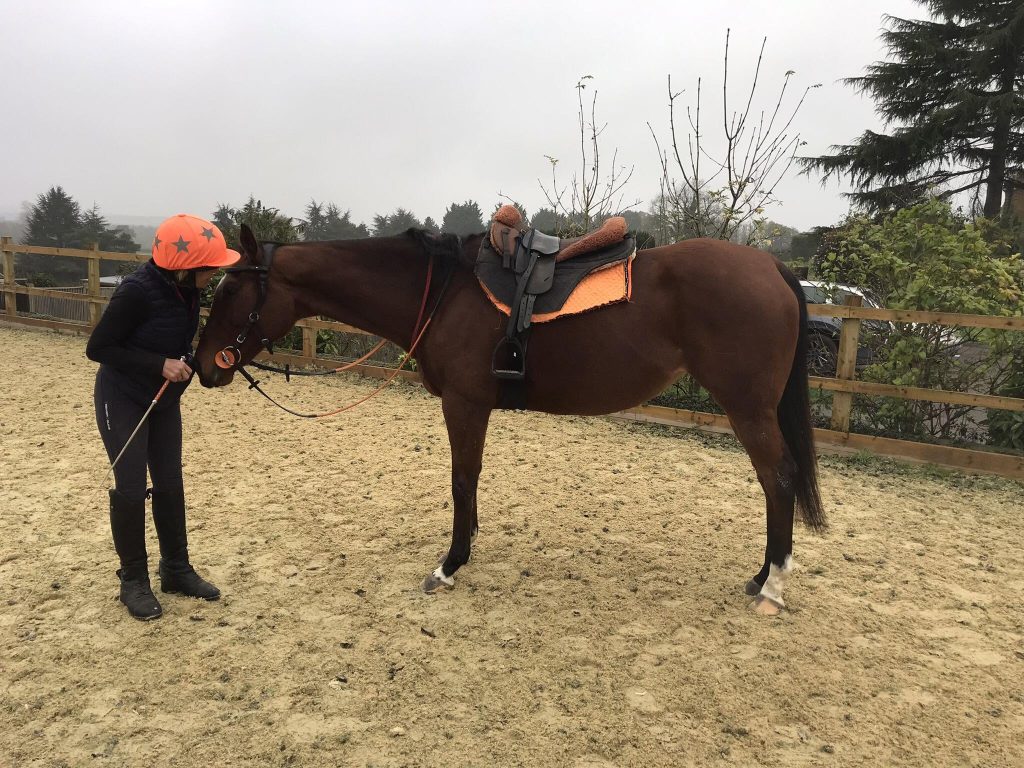 Psyche Dell Equestrian Coaching
