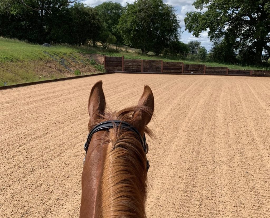 RAW Dressage