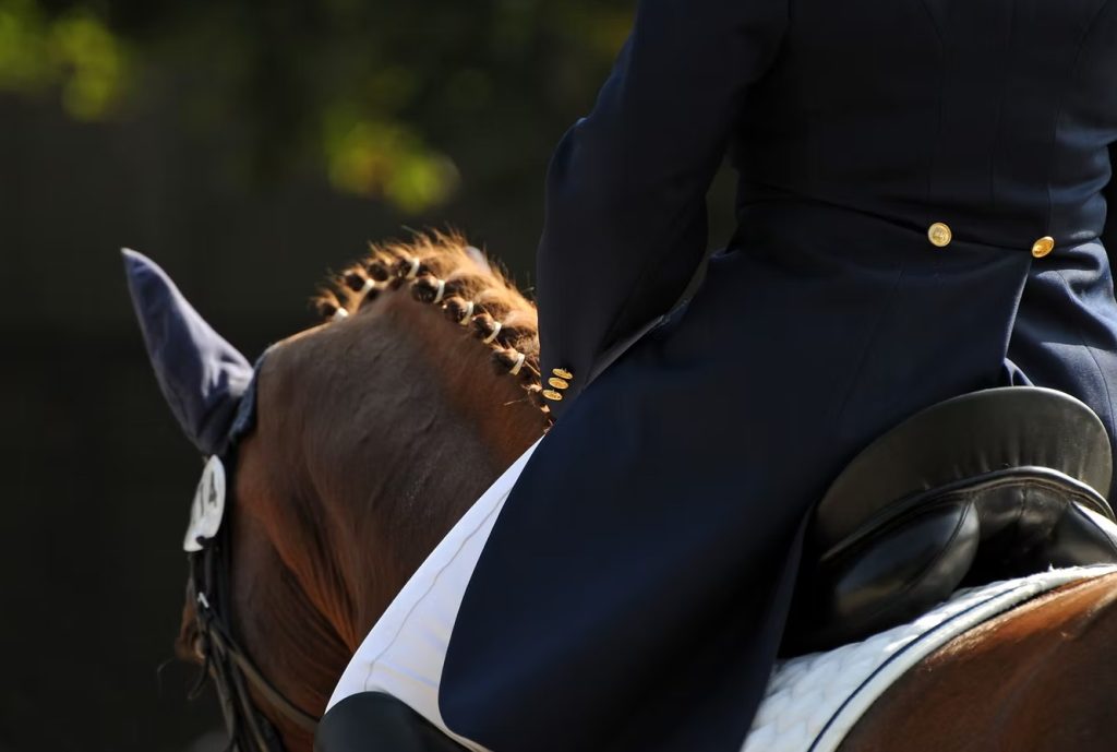 Lessons with Grand Prix Rider