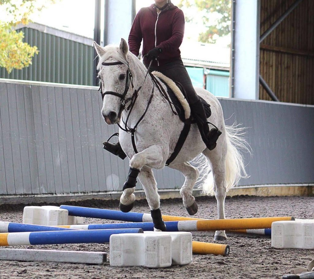 Christine Shubrook- Level III Accredited SJ Coach