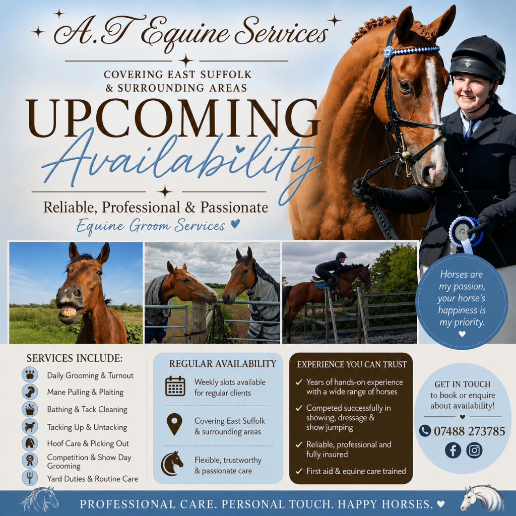 A.T Equine Services