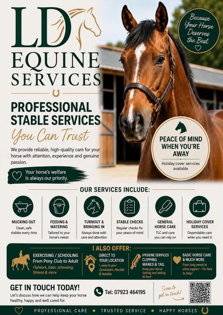 LD Equine Services